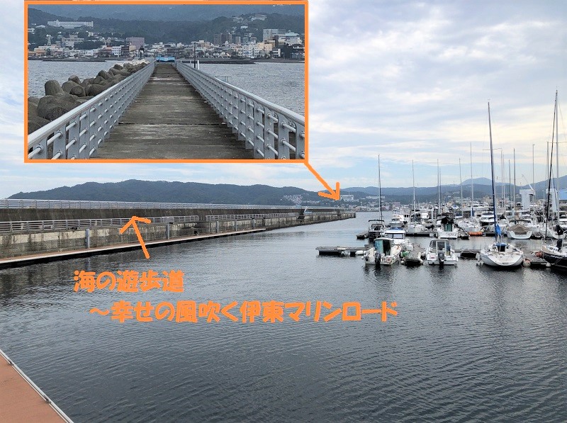 f:id:pisukechin:20201010124949j:plain f:id:pisukechin:20201010124949j:plain