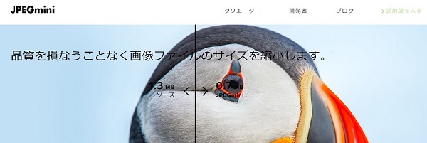 f:id:pisukechin:20201103221131j:plain f:id:pisukechin:20201103221131j:plain