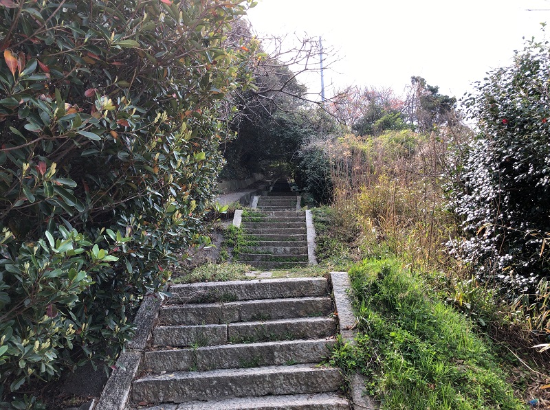 f:id:pisukechin:20210408213859j:plain