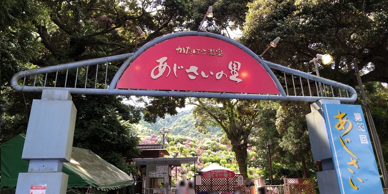 f:id:pisukechin:20210612231358j:plain