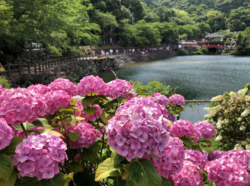 f:id:pisukechin:20210612231424j:plain