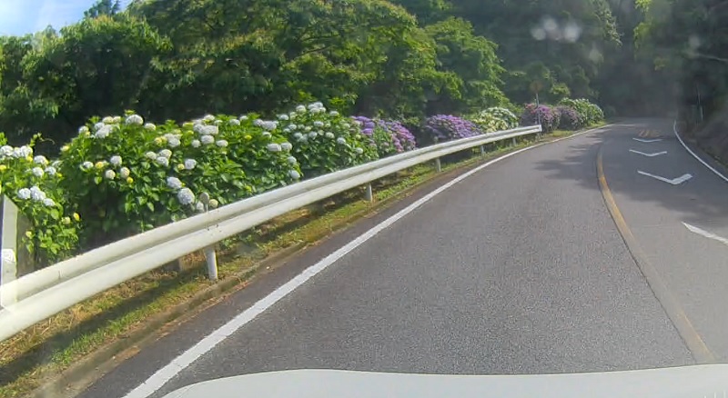 f:id:pisukechin:20210612231514j:plain