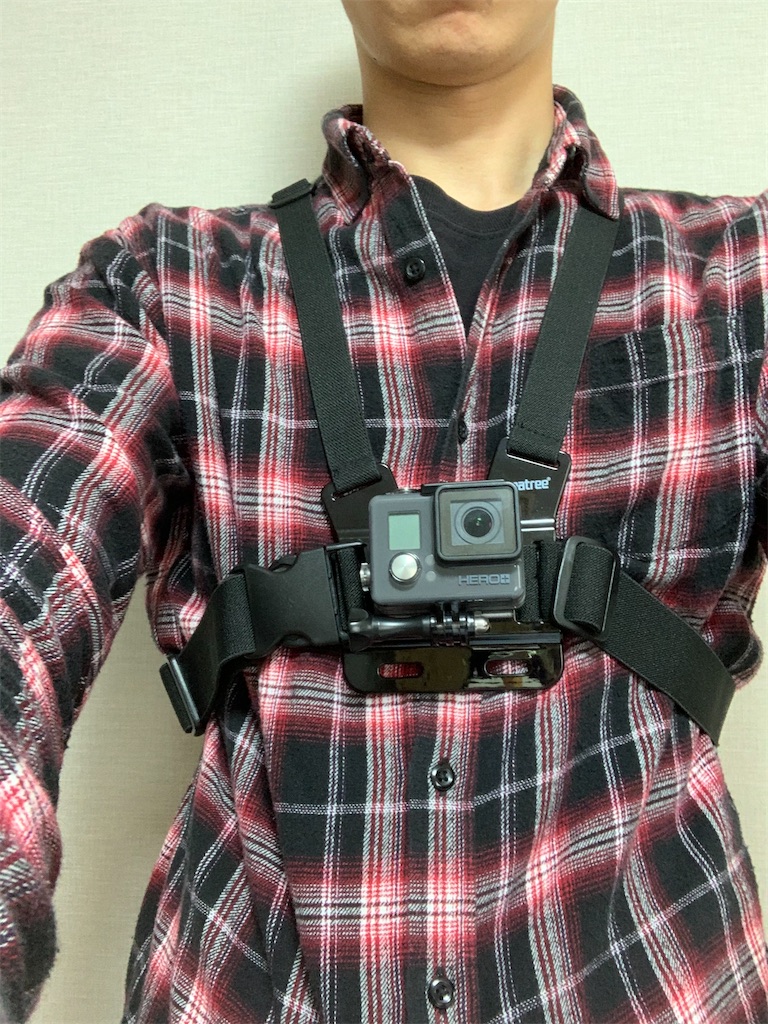 f:id:pit_yamataro:20200408164521j:image
