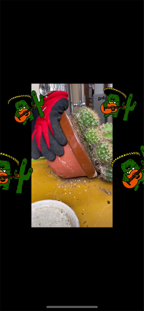 f:id:pitcherplant:20200607090058p:image