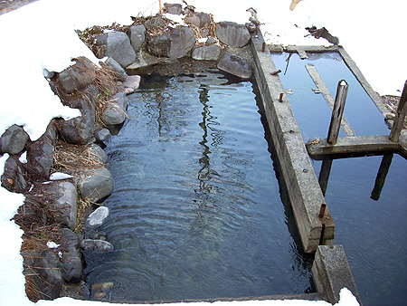 f:id:pitfall1:20090213201425j:image