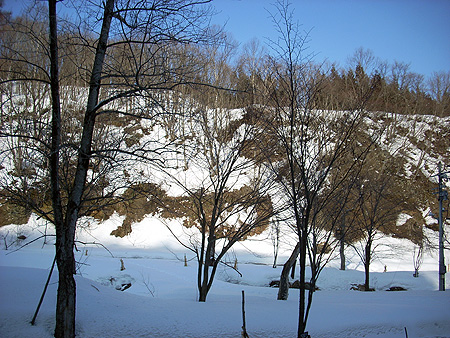 f:id:pitfall1:20090213201426j:image