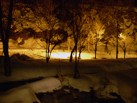 f:id:pitfall1:20090213201443j:image