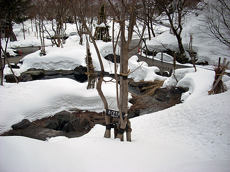 f:id:pitfall1:20090213201446j:image