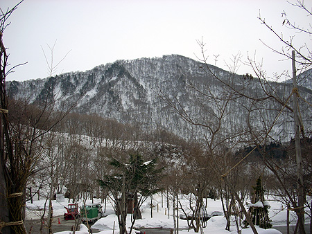 f:id:pitfall1:20090213201447j:image