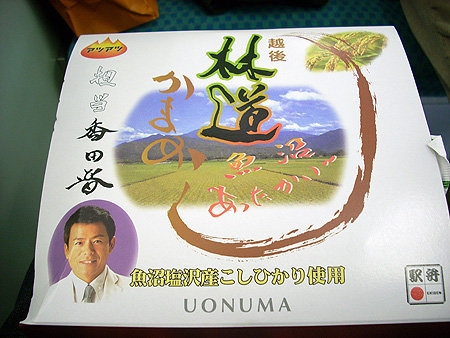 f:id:pitfall1:20090213201510j:image