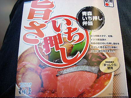 f:id:pitfall1:20090306195016j:image