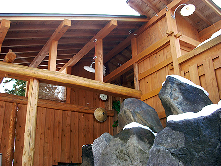 f:id:pitfall1:20090306195025j:image