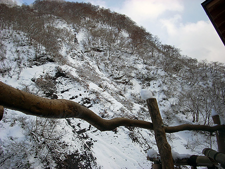 f:id:pitfall1:20090306195026j:image