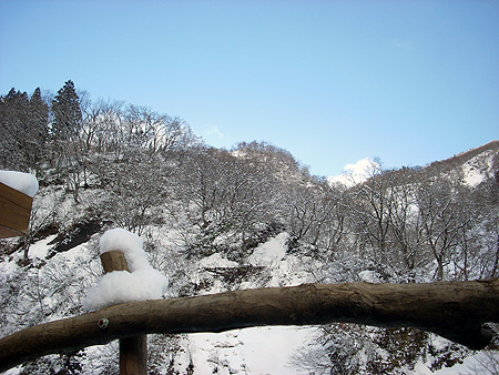 f:id:pitfall1:20090306195027j:image