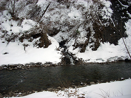 f:id:pitfall1:20090306195036j:image