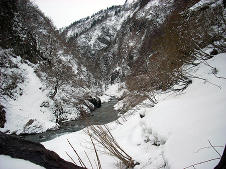 f:id:pitfall1:20090306195050j:image