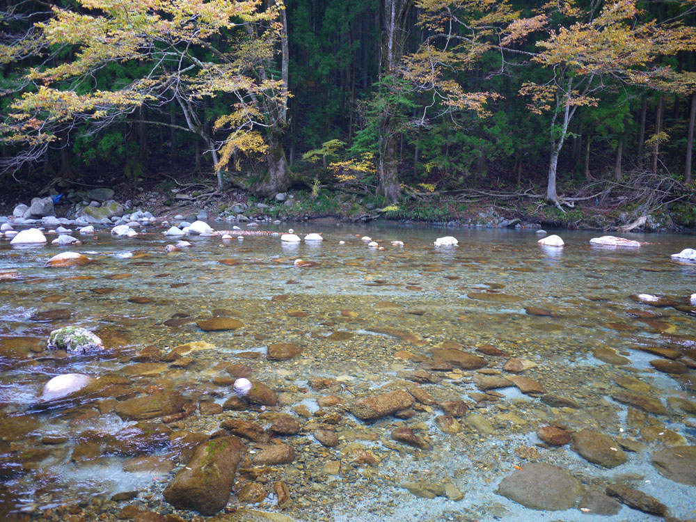 f:id:pitfall1:20131112090031j:image:w300