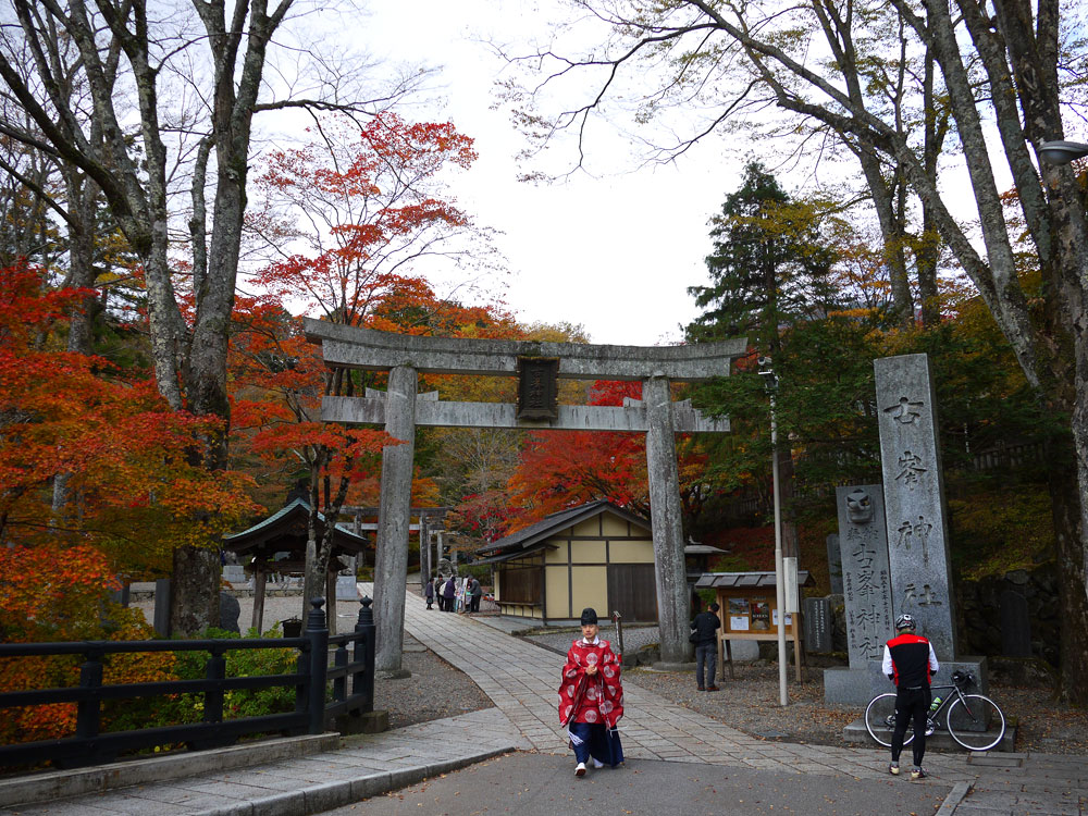 f:id:pitfall1:20131112090035j:image:w300