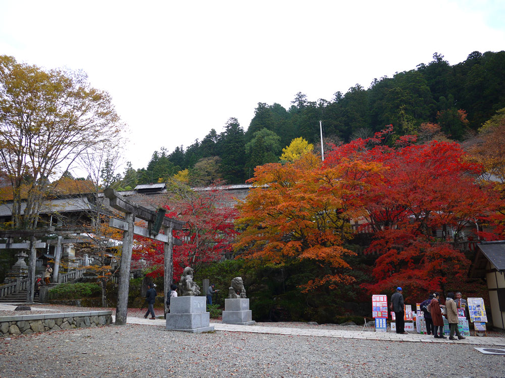 f:id:pitfall1:20131112090036j:image:w300 f:id:pitfall1:20131112090036j:image:w300