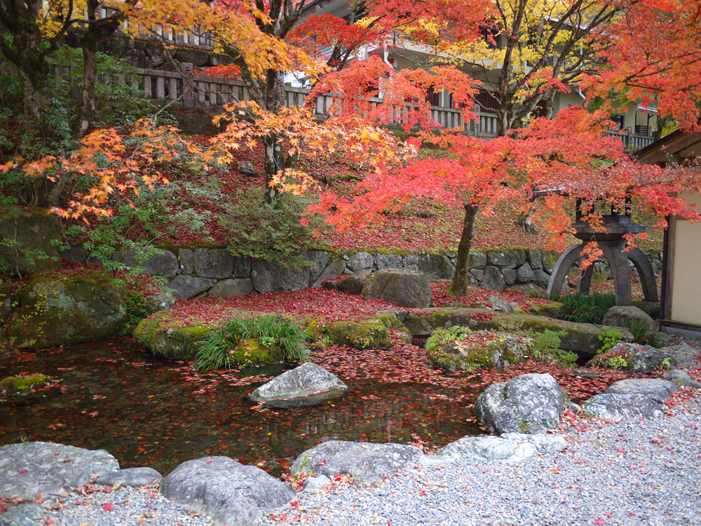 f:id:pitfall1:20131112090037j:image:w300