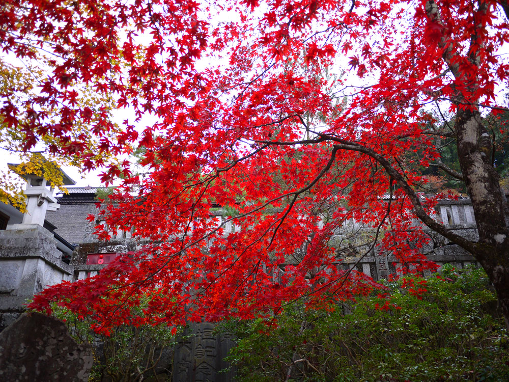 f:id:pitfall1:20131112090039j:image:w300 f:id:pitfall1:20131112090039j:image:w300