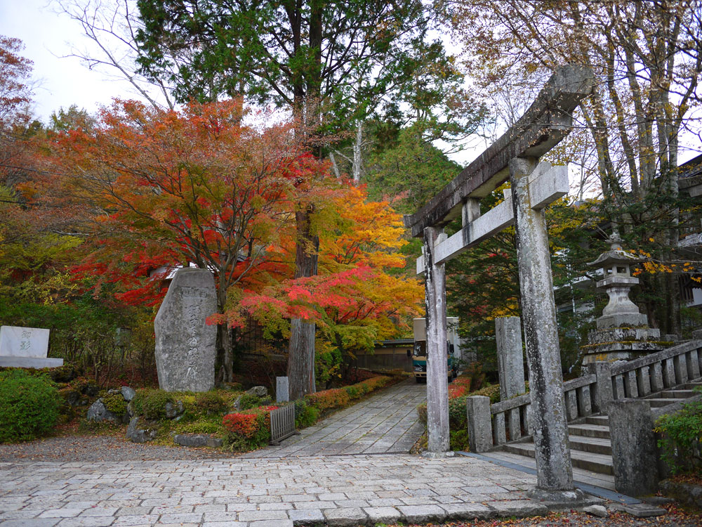 f:id:pitfall1:20131112090040j:image:w300