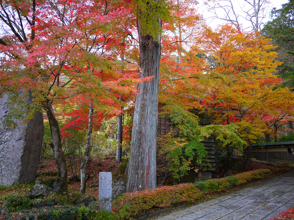 f:id:pitfall1:20131112090041j:image:w300