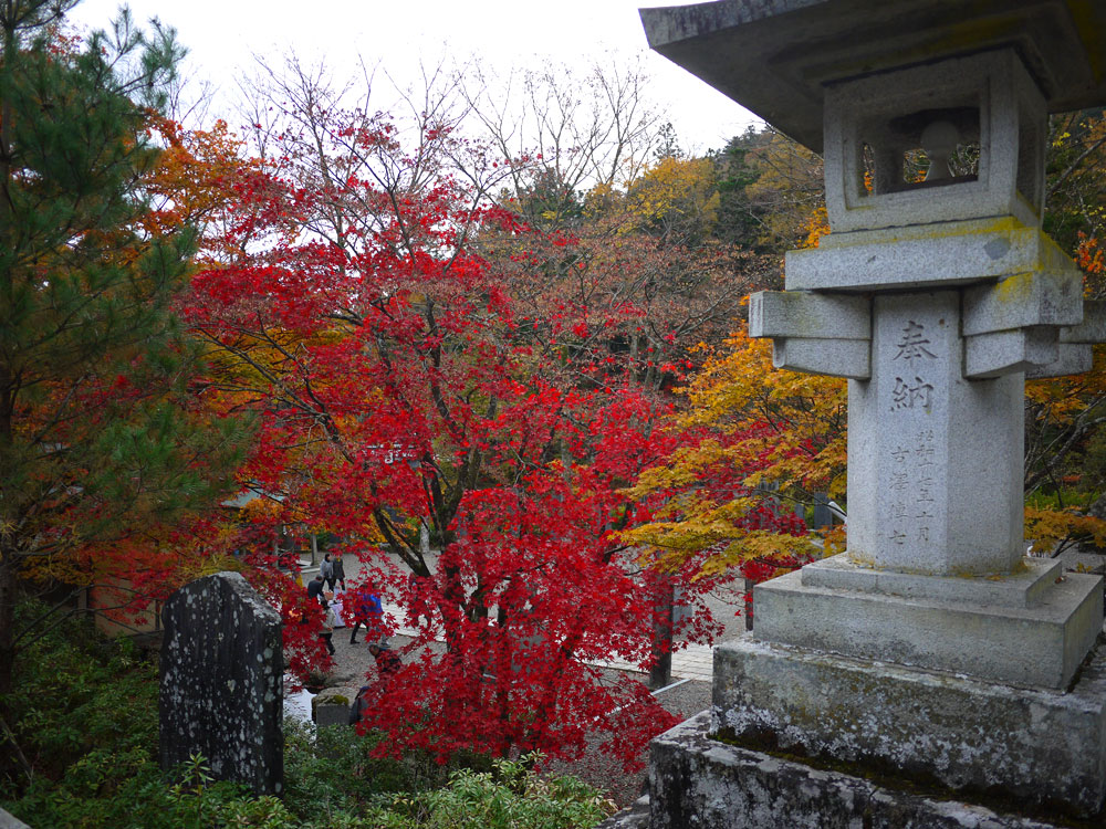 f:id:pitfall1:20131112090042j:image:w300 f:id:pitfall1:20131112090042j:image:w300