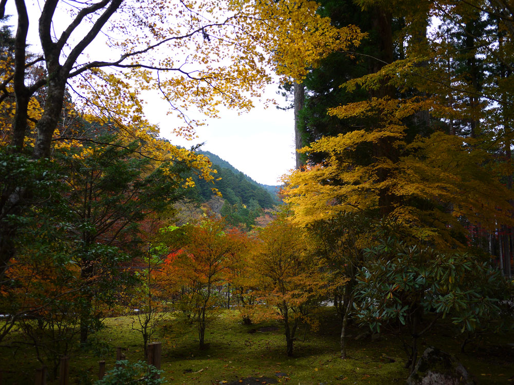 f:id:pitfall1:20131112090046j:image:w300