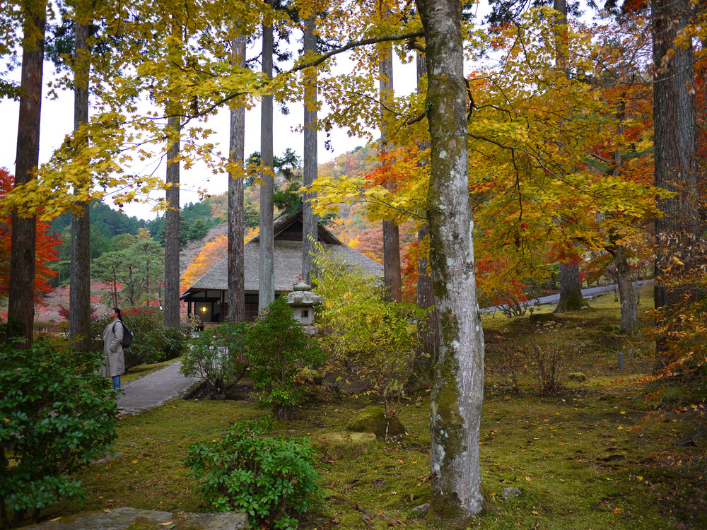 f:id:pitfall1:20131112090047j:image:w300