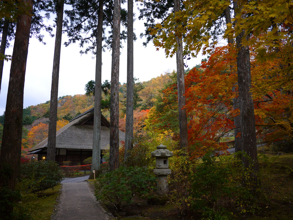 f:id:pitfall1:20131112090048j:image:w300 f:id:pitfall1:20131112090048j:image:w300