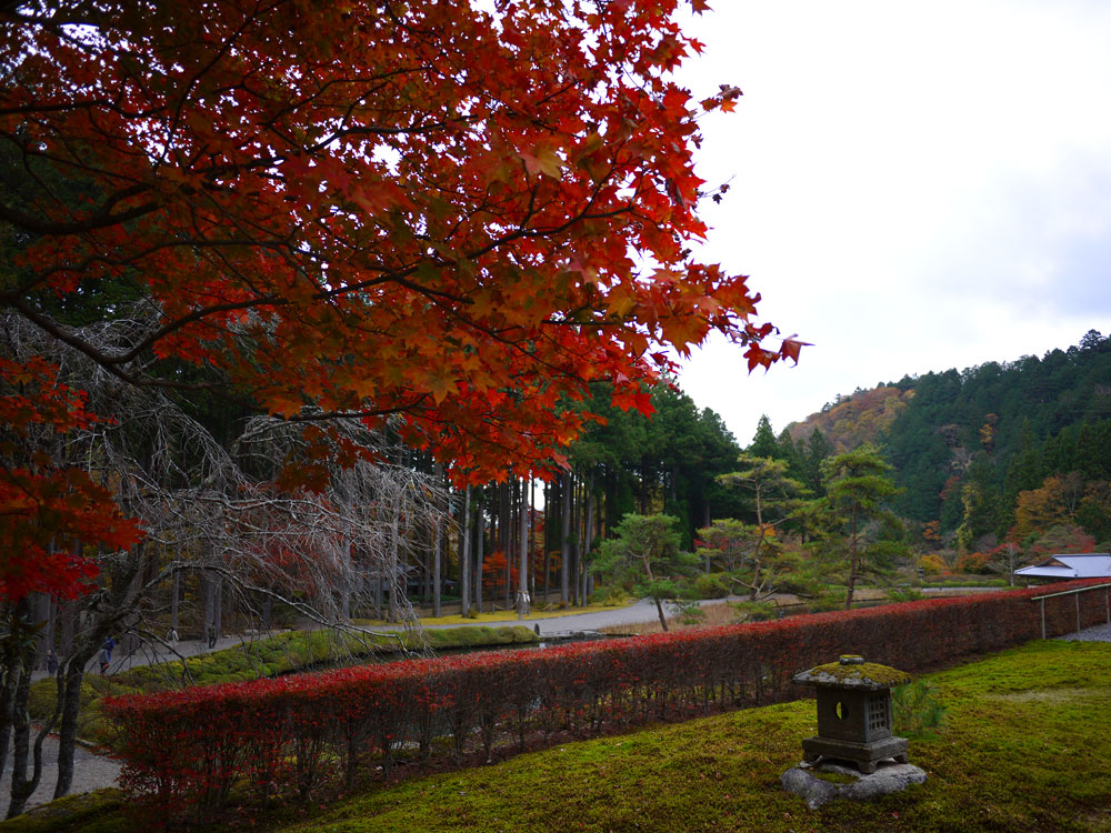 f:id:pitfall1:20131112090049j:image:w300