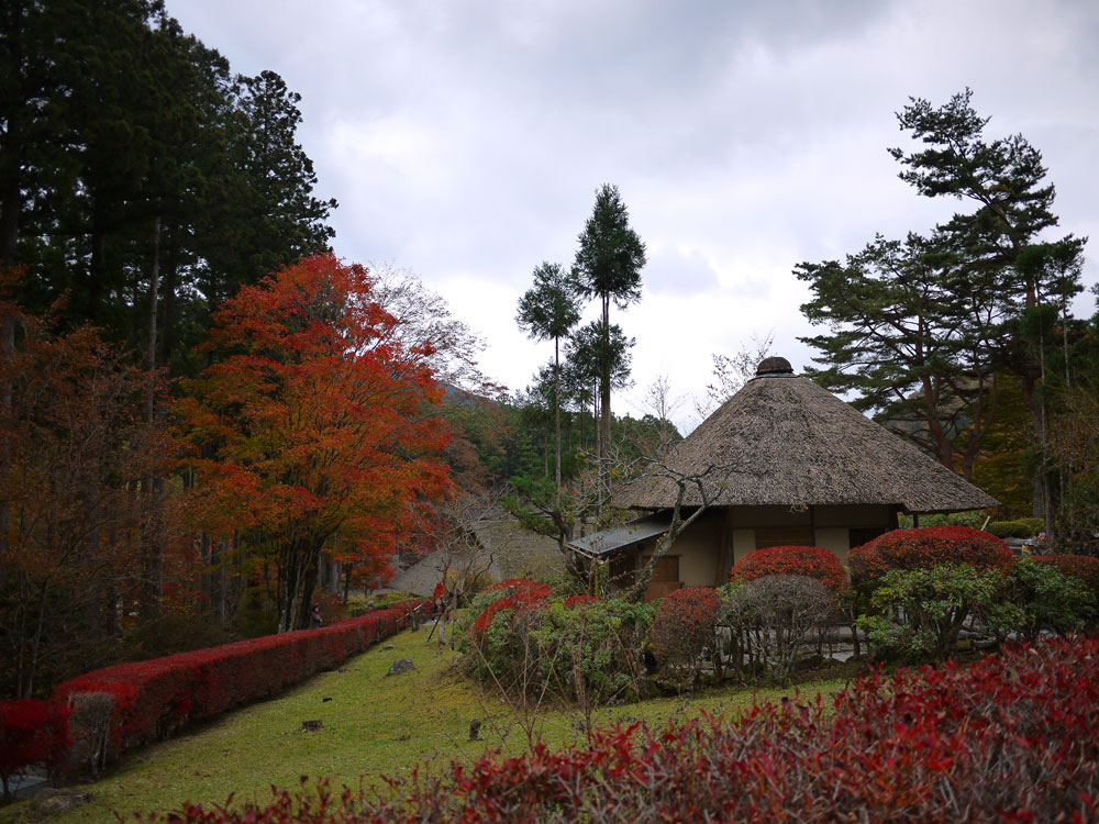 f:id:pitfall1:20131112090050j:image:w300