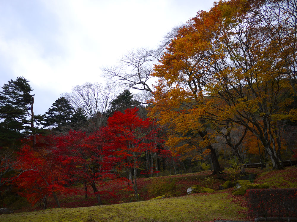 f:id:pitfall1:20131112090051j:image:w300 f:id:pitfall1:20131112090051j:image:w300