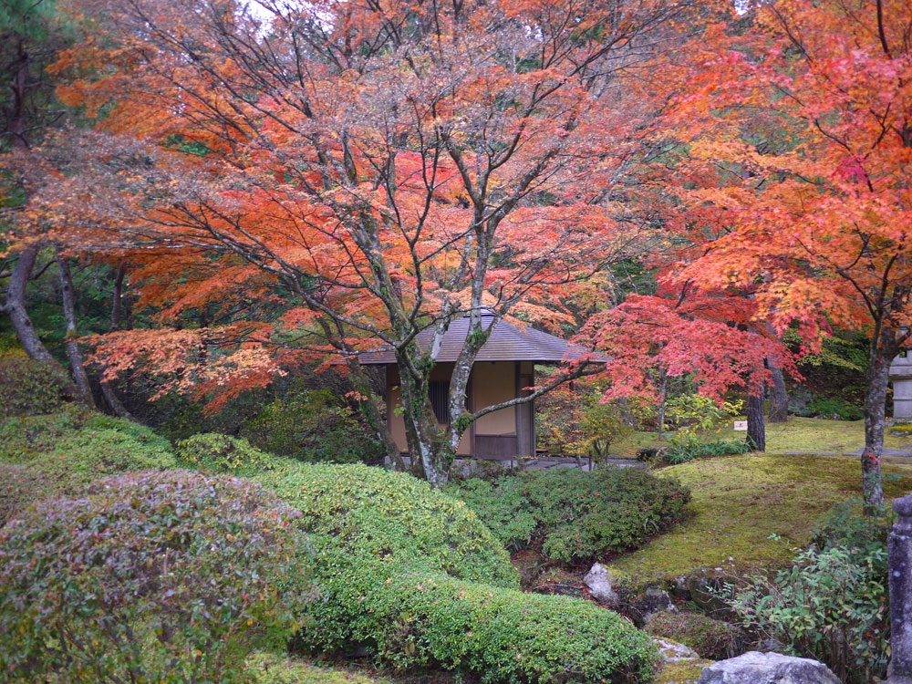 f:id:pitfall1:20131112090052j:image:w300