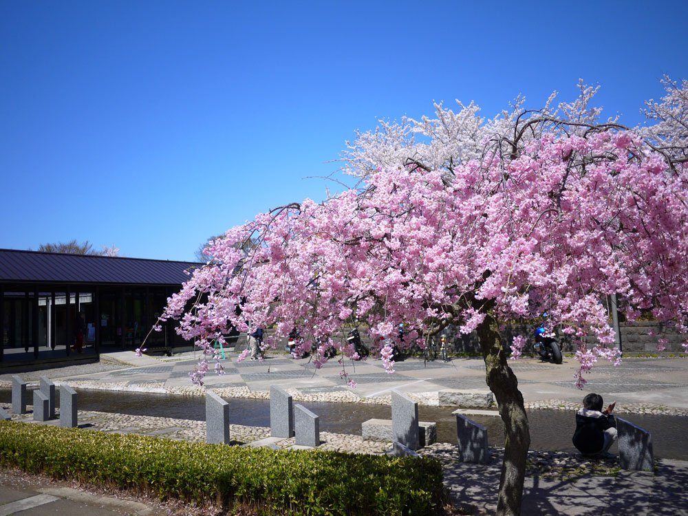 f:id:pitfall1:20140410145354j:image:w300 f:id:pitfall1:20140410145354j:image:w300