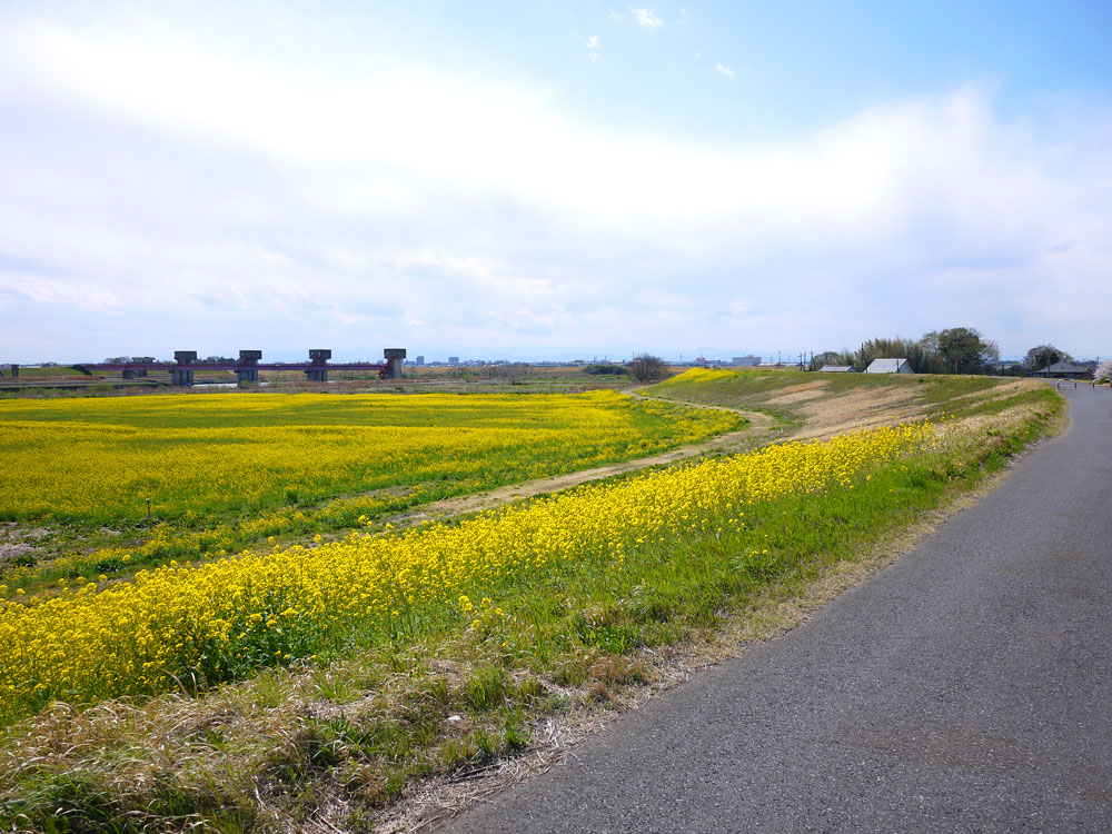 f:id:pitfall1:20140410145400j:image:w300 f:id:pitfall1:20140410145400j:image:w300