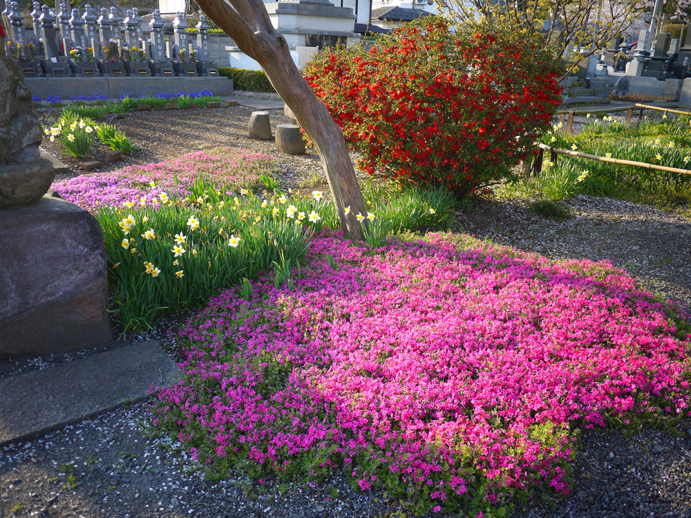 f:id:pitfall1:20140410145403j:image:w300 f:id:pitfall1:20140410145403j:image:w300