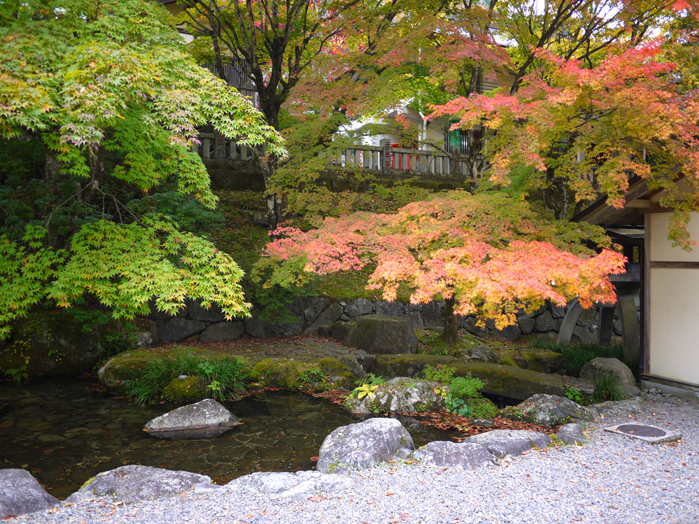 f:id:pitfall1:20141103172919j:image:w300 f:id:pitfall1:20141103172919j:image:w300