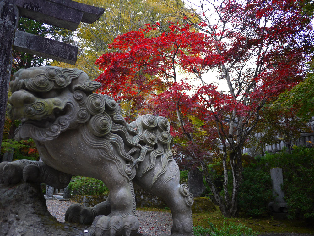 f:id:pitfall1:20141103172920j:image:w300 f:id:pitfall1:20141103172920j:image:w300