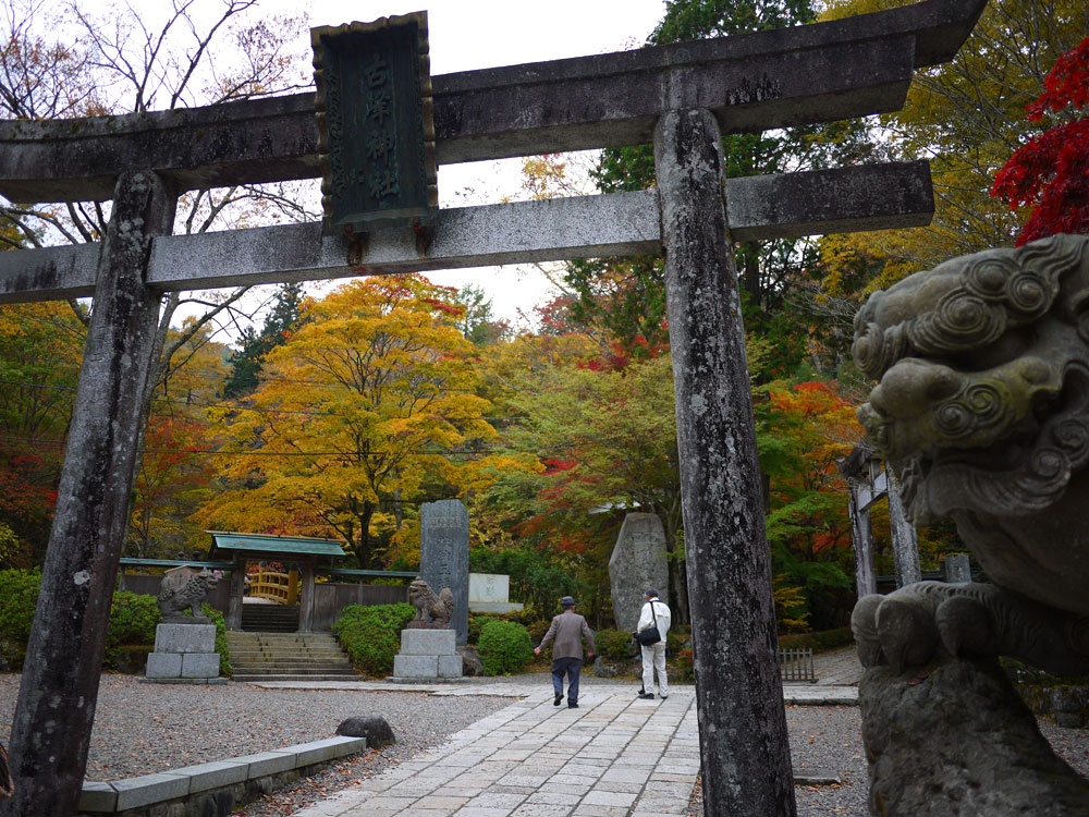 f:id:pitfall1:20141103172921j:image:w300 f:id:pitfall1:20141103172921j:image:w300