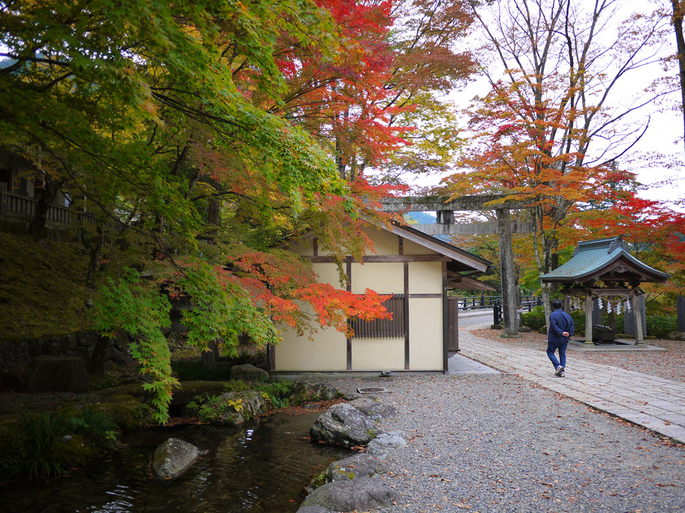 f:id:pitfall1:20141103172922j:image:w300 f:id:pitfall1:20141103172922j:image:w300