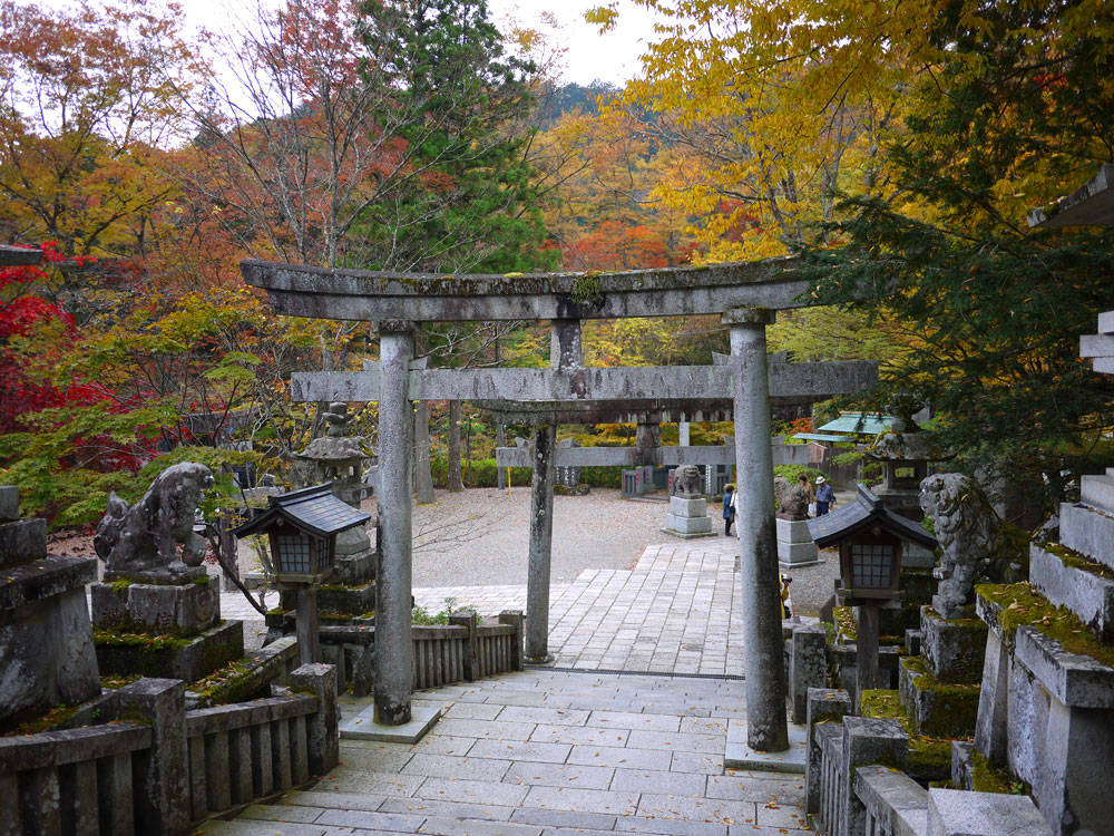 f:id:pitfall1:20141103172924j:image:w300 f:id:pitfall1:20141103172924j:image:w300