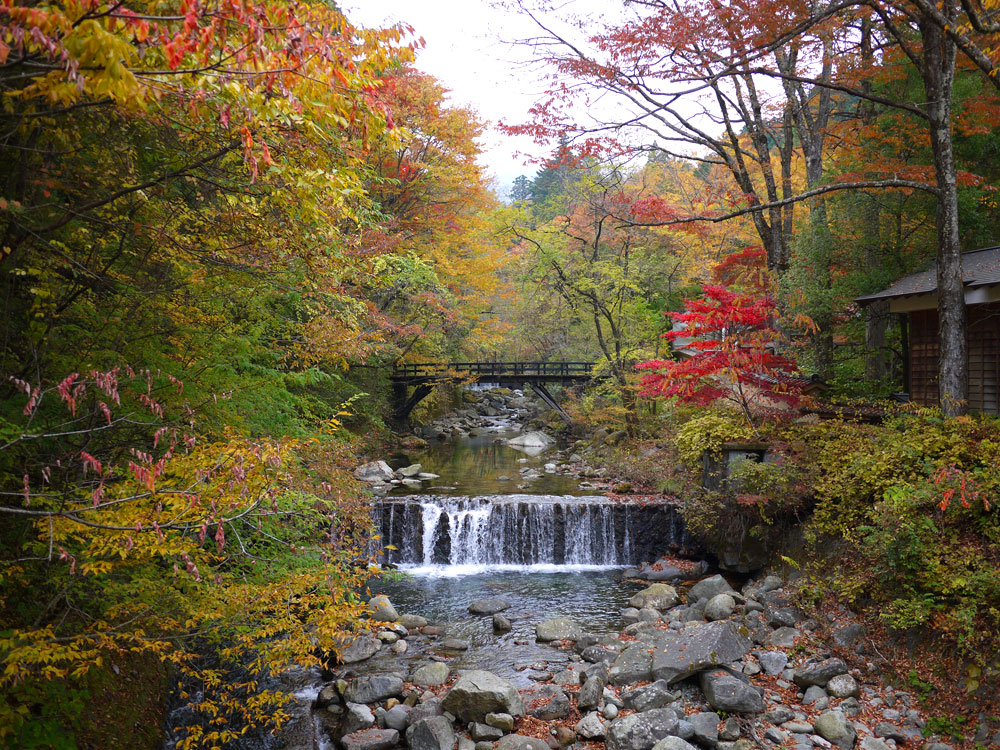 f:id:pitfall1:20141103172933j:image:w300 f:id:pitfall1:20141103172933j:image:w300