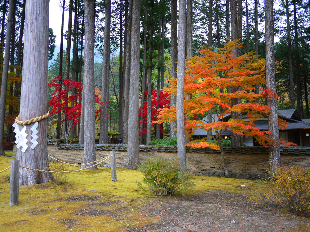 f:id:pitfall1:20141103172936j:image:w300 f:id:pitfall1:20141103172936j:image:w300