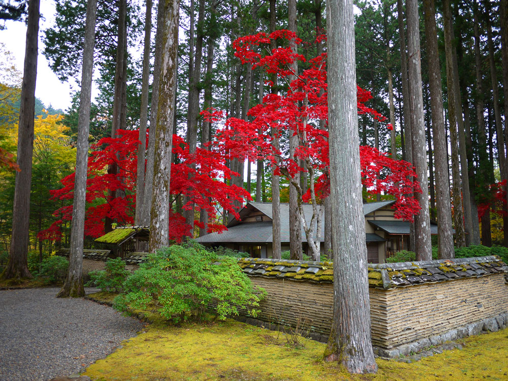 f:id:pitfall1:20141103172937j:image:w300 f:id:pitfall1:20141103172937j:image:w300