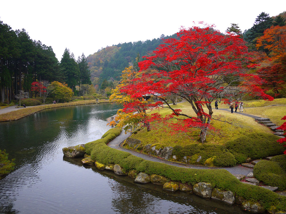 f:id:pitfall1:20141103172942j:image:w300 f:id:pitfall1:20141103172942j:image:w300