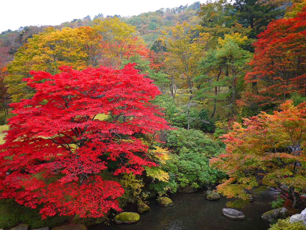 f:id:pitfall1:20141103172943j:image:w300 f:id:pitfall1:20141103172943j:image:w300