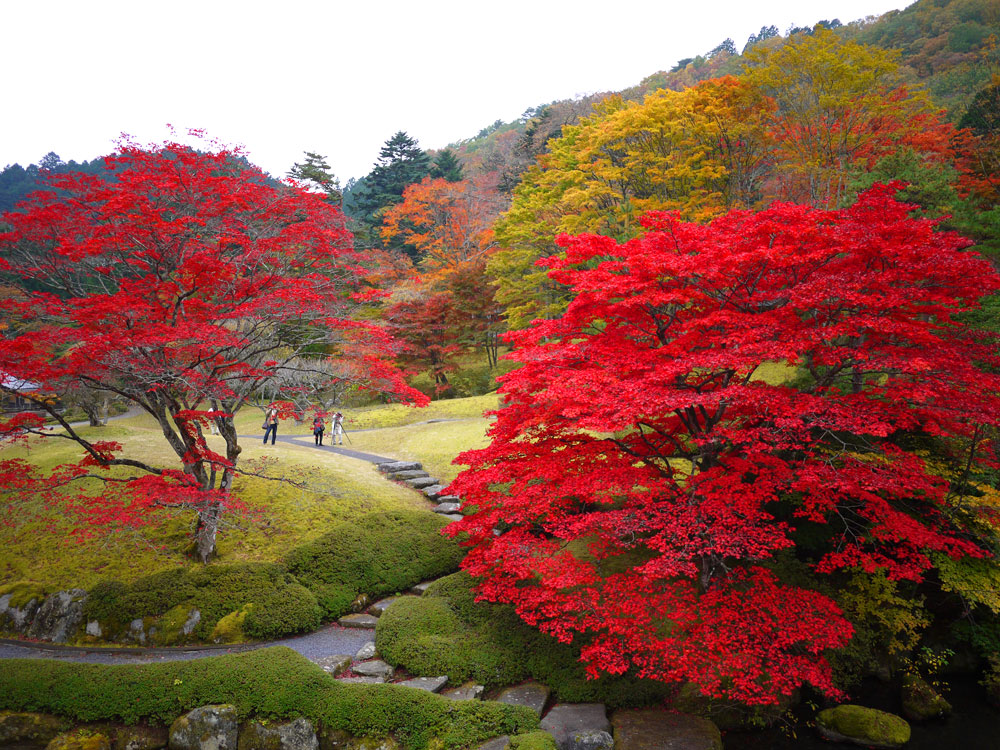 f:id:pitfall1:20141103172944j:image:w300 f:id:pitfall1:20141103172944j:image:w300