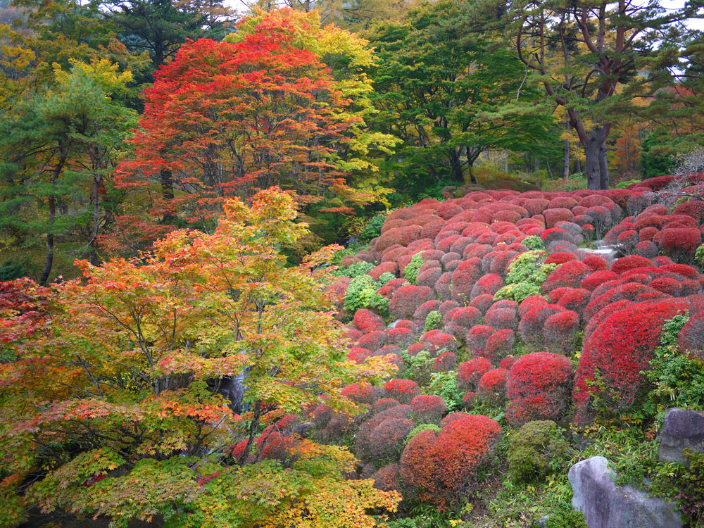 f:id:pitfall1:20141103172945j:image:w300 f:id:pitfall1:20141103172945j:image:w300